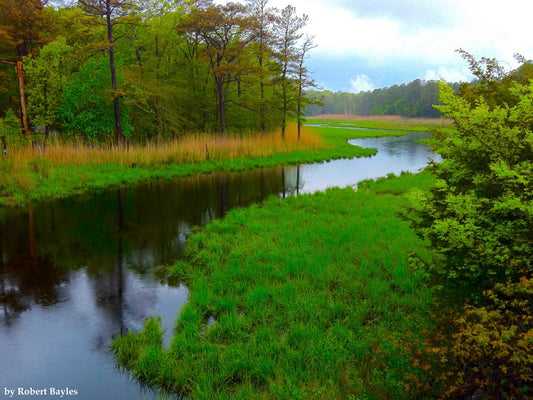 "DNREC Makes $1.2 Million in Nonpoint Source Pollution Grant Funding Available for Delaware Clean Water Projects" -Delaware.gov
