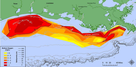 Larger-than-average Gulf of Mexico ‘dead zone’ measured
