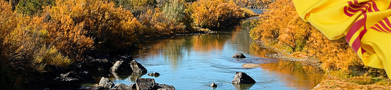 New Mexico