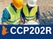 Qualified Preparer of Stormwater Pollution Prevention Plans (QPSWPPP) Recert - Quebec