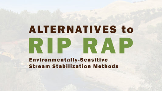 Alternatives to Rip Rap (Environmentally-Sensitive Stream Stabilization Methods)