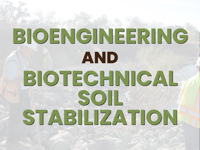 Bioengineering and Biotechnical Soil Stabilization
