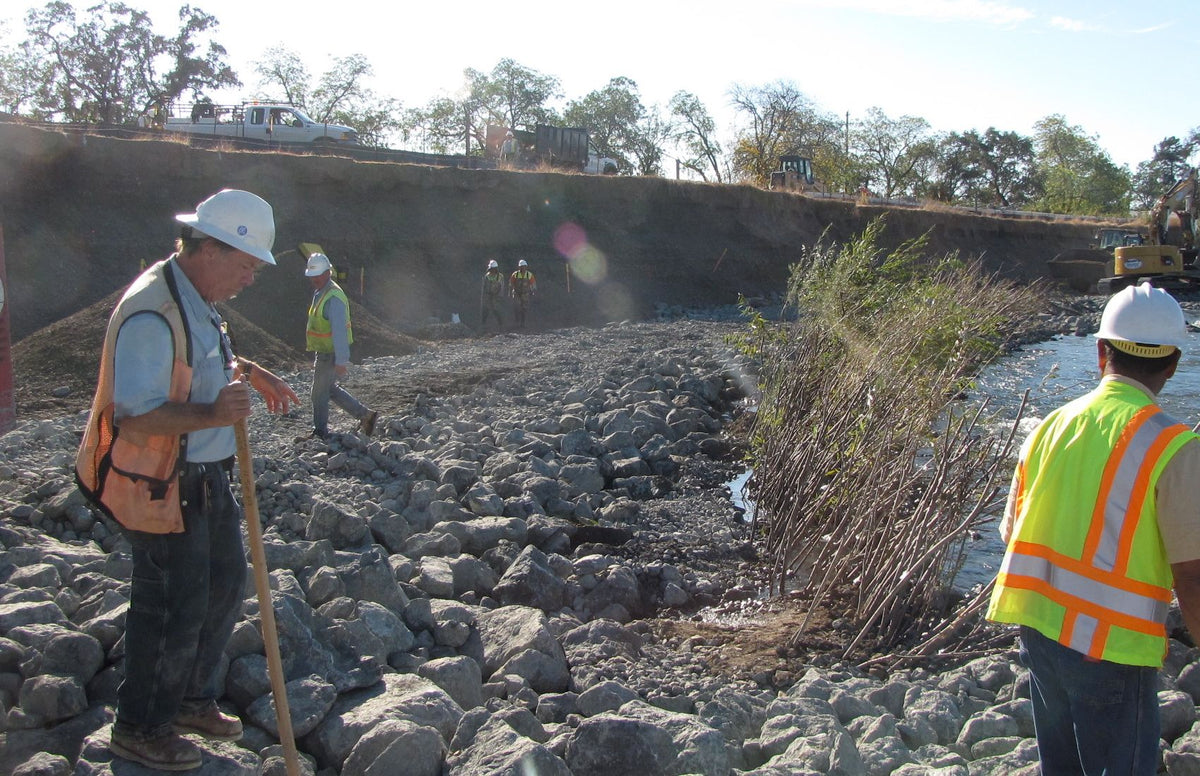 Bioengineering and Biotechnical Soil Stabilization