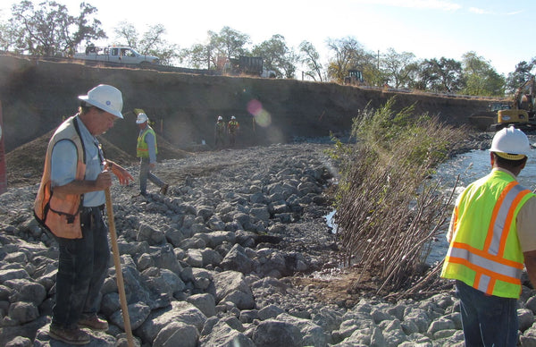 Bioengineering and Biotechnical Soil Stabilization